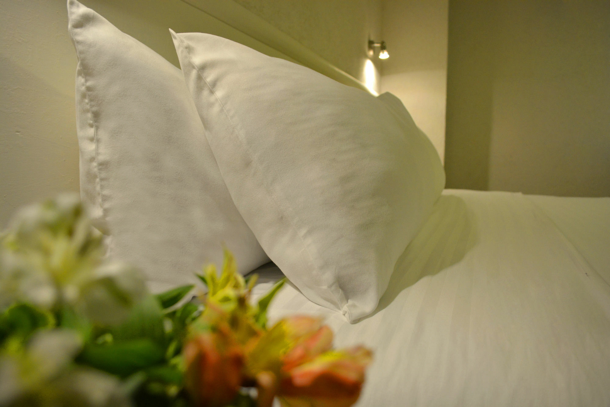 Eco Express Hotel Zamora زامورا دي هيدالغو المظهر الخارجي الصورة